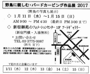 %e3%83%90%e3%83%bc%e3%83%89201701